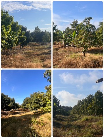 ประกาศฟรี! ซื้อ-ขาย-เช่า คอนโด บ้าน ทาวน์โฮม ที่ดิน และพื้นที่เชิงพาณิชย์ทั่วประเทศไทย ทุกทำเล ทุกงบประมาณ ไม่มีค่าใช้จ่าย ลงง่าย ขายไว เข้าถึงผู้ซื้อโดยตรง 4 230817pic3.jpg