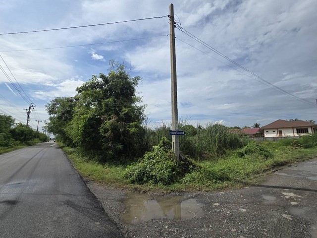 ประกาศฟรี! ซื้อ-ขาย-เช่า คอนโด บ้าน ทาวน์โฮม ที่ดิน และพื้นที่เชิงพาณิชย์ทั่วประเทศไทย ทุกทำเล ทุกงบประมาณ ไม่มีค่าใช้จ่าย ลงง่าย ขายไว เข้าถึงผู้ซื้อโดยตรง 2 503571pic1.jpg