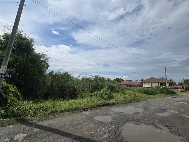 ประกาศฟรี! ซื้อ-ขาย-เช่า คอนโด บ้าน ทาวน์โฮม ที่ดิน และพื้นที่เชิงพาณิชย์ทั่วประเทศไทย ทุกทำเล ทุกงบประมาณ ไม่มีค่าใช้จ่าย ลงง่าย ขายไว เข้าถึงผู้ซื้อโดยตรง 3 503571pic2.jpg