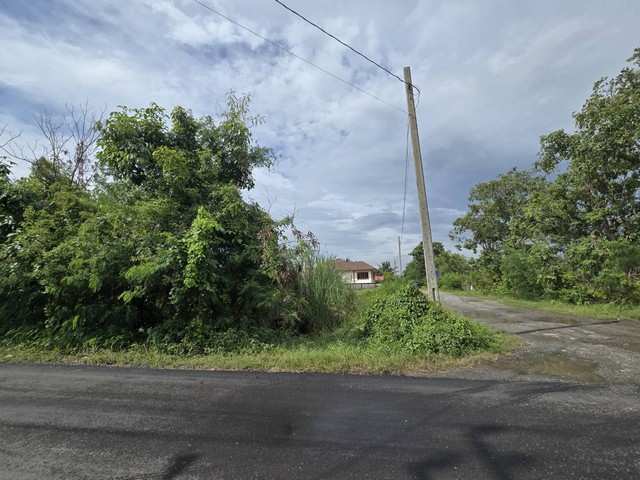 ประกาศฟรี! ซื้อ-ขาย-เช่า คอนโด บ้าน ทาวน์โฮม ที่ดิน และพื้นที่เชิงพาณิชย์ทั่วประเทศไทย ทุกทำเล ทุกงบประมาณ ไม่มีค่าใช้จ่าย ลงง่าย ขายไว เข้าถึงผู้ซื้อโดยตรง 4 503571pic3.jpg