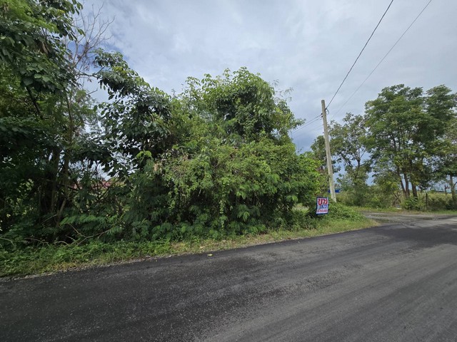 ประกาศฟรี! ซื้อ-ขาย-เช่า คอนโด บ้าน ทาวน์โฮม ที่ดิน และพื้นที่เชิงพาณิชย์ทั่วประเทศไทย ทุกทำเล ทุกงบประมาณ ไม่มีค่าใช้จ่าย ลงง่าย ขายไว เข้าถึงผู้ซื้อโดยตรง 5 503571pic4.jpg