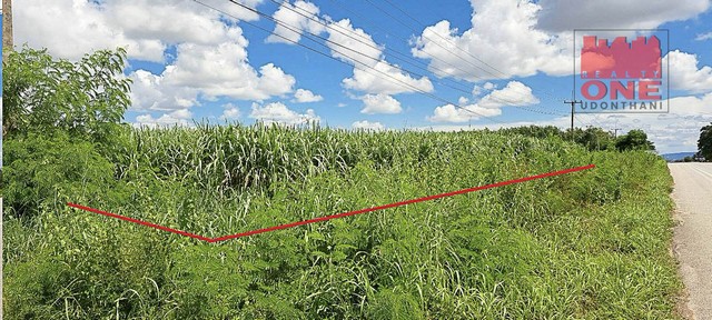 ประกาศฟรี! ซื้อ-ขาย-เช่า คอนโด บ้าน ทาวน์โฮม ที่ดิน และพื้นที่เชิงพาณิชย์ทั่วประเทศไทย ทุกทำเล ทุกงบประมาณ ไม่มีค่าใช้จ่าย ลงง่าย ขายไว เข้าถึงผู้ซื้อโดยตรง 5 306168pic4.jpg