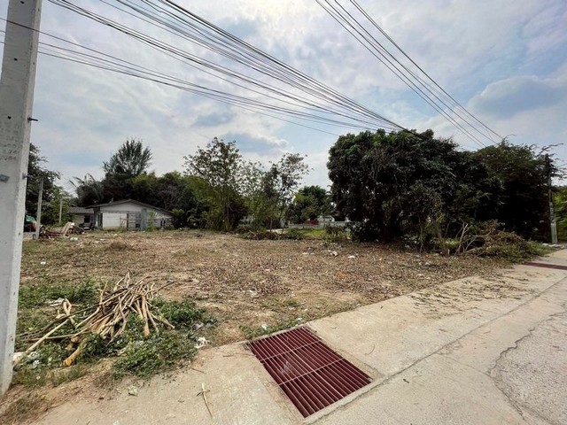 ประกาศฟรี! ซื้อ-ขาย-เช่า คอนโด บ้าน ทาวน์โฮม ที่ดิน และพื้นที่เชิงพาณิชย์ทั่วประเทศไทย ทุกทำเล ทุกงบประมาณ ไม่มีค่าใช้จ่าย ลงง่าย ขายไว เข้าถึงผู้ซื้อโดยตรง 2 230838pic1.jpg