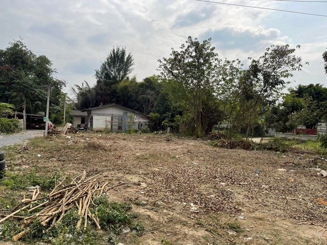 ประกาศฟรี! ซื้อ-ขาย-เช่า คอนโด บ้าน ทาวน์โฮม ที่ดิน และพื้นที่เชิงพาณิชย์ทั่วประเทศไทย ทุกทำเล ทุกงบประมาณ ไม่มีค่าใช้จ่าย ลงง่าย ขายไว เข้าถึงผู้ซื้อโดยตรง 3 230838pic2.jpg