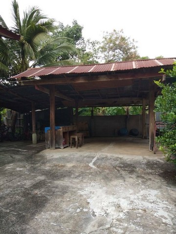 ประกาศฟรี! ซื้อ-ขาย-เช่า คอนโด บ้าน ทาวน์โฮม ที่ดิน และพื้นที่เชิงพาณิชย์ทั่วประเทศไทย ทุกทำเล ทุกงบประมาณ ไม่มีค่าใช้จ่าย ลงง่าย ขายไว เข้าถึงผู้ซื้อโดยตรง 5 230836pic4.jpg