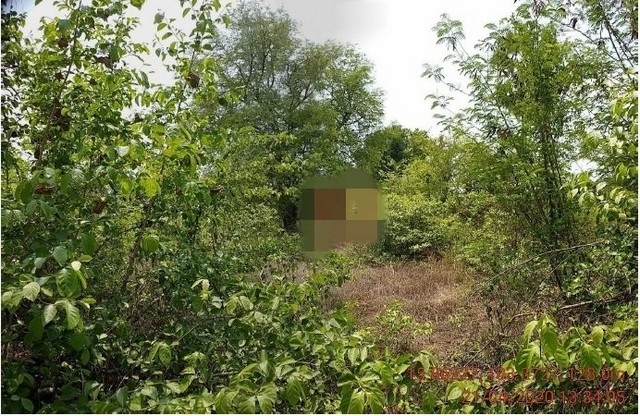 ประกาศฟรี! ซื้อ-ขาย-เช่า คอนโด บ้าน ทาวน์โฮม ที่ดิน และพื้นที่เชิงพาณิชย์ทั่วประเทศไทย ทุกทำเล ทุกงบประมาณ ไม่มีค่าใช้จ่าย ลงง่าย ขายไว เข้าถึงผู้ซื้อโดยตรง 3 206300pic2.jpg