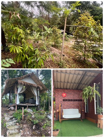 ประกาศฟรี! ซื้อ-ขาย-เช่า คอนโด บ้าน ทาวน์โฮม ที่ดิน และพื้นที่เชิงพาณิชย์ทั่วประเทศไทย ทุกทำเล ทุกงบประมาณ ไม่มีค่าใช้จ่าย ลงง่าย ขายไว เข้าถึงผู้ซื้อโดยตรง 2 230920pic1.jpg