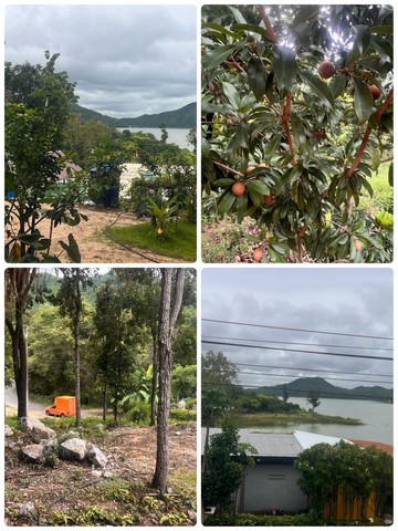 ประกาศฟรี! ซื้อ-ขาย-เช่า คอนโด บ้าน ทาวน์โฮม ที่ดิน และพื้นที่เชิงพาณิชย์ทั่วประเทศไทย ทุกทำเล ทุกงบประมาณ ไม่มีค่าใช้จ่าย ลงง่าย ขายไว เข้าถึงผู้ซื้อโดยตรง 3 230920pic2.jpg