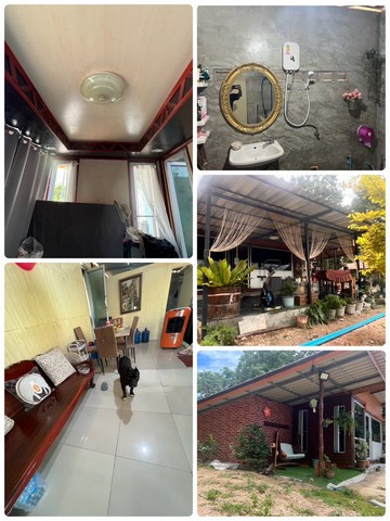 ประกาศฟรี! ซื้อ-ขาย-เช่า คอนโด บ้าน ทาวน์โฮม ที่ดิน และพื้นที่เชิงพาณิชย์ทั่วประเทศไทย ทุกทำเล ทุกงบประมาณ ไม่มีค่าใช้จ่าย ลงง่าย ขายไว เข้าถึงผู้ซื้อโดยตรง 4 230920pic3.jpg