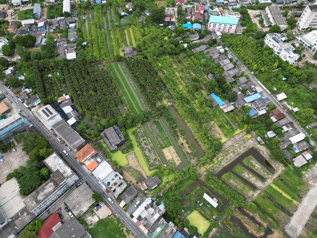 ประกาศฟรี! ซื้อ-ขาย-เช่า คอนโด บ้าน ทาวน์โฮม ที่ดิน และพื้นที่เชิงพาณิชย์ทั่วประเทศไทย ทุกทำเล ทุกงบประมาณ ไม่มีค่าใช้จ่าย ลงง่าย ขายไว เข้าถึงผู้ซื้อโดยตรง 3 503649pic2.jpg