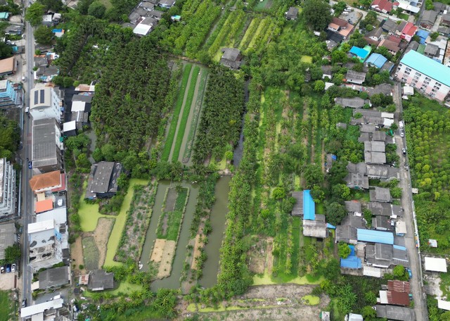 ประกาศฟรี! ซื้อ-ขาย-เช่า คอนโด บ้าน ทาวน์โฮม ที่ดิน และพื้นที่เชิงพาณิชย์ทั่วประเทศไทย ทุกทำเล ทุกงบประมาณ ไม่มีค่าใช้จ่าย ลงง่าย ขายไว เข้าถึงผู้ซื้อโดยตรง 4 503649pic3.jpg