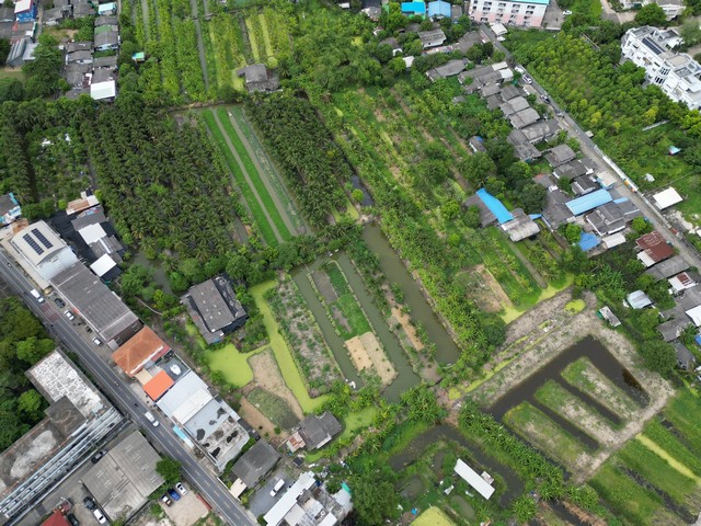 ประกาศฟรี! ซื้อ-ขาย-เช่า คอนโด บ้าน ทาวน์โฮม ที่ดิน และพื้นที่เชิงพาณิชย์ทั่วประเทศไทย ทุกทำเล ทุกงบประมาณ ไม่มีค่าใช้จ่าย ลงง่าย ขายไว เข้าถึงผู้ซื้อโดยตรง 5 503649pic4.jpg