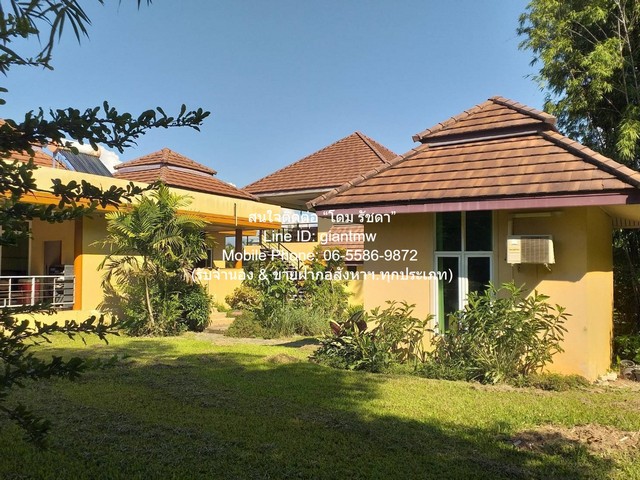 ประกาศฟรี! ซื้อ-ขาย-เช่า คอนโด บ้าน ทาวน์โฮม ที่ดิน และพื้นที่เชิงพาณิชย์ทั่วประเทศไทย ทุกทำเล ทุกงบประมาณ ไม่มีค่าใช้จ่าย ลงง่าย ขายไว เข้าถึงผู้ซื้อโดยตรง 4 284355pic3.jpg