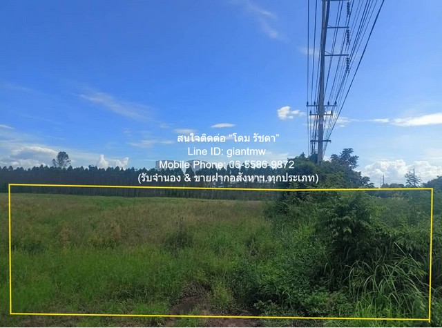 ประกาศฟรี! ซื้อ-ขาย-เช่า คอนโด บ้าน ทาวน์โฮม ที่ดิน และพื้นที่เชิงพาณิชย์ทั่วประเทศไทย ทุกทำเล ทุกงบประมาณ ไม่มีค่าใช้จ่าย ลงง่าย ขายไว เข้าถึงผู้ซื้อโดยตรง 5 284166pic4.jpg