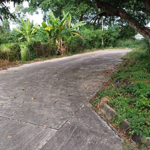 ประกาศฟรี! ซื้อ-ขาย-เช่า คอนโด บ้าน ทาวน์โฮม ที่ดิน และพื้นที่เชิงพาณิชย์ทั่วประเทศไทย ทุกทำเล ทุกงบประมาณ ไม่มีค่าใช้จ่าย ลงง่าย ขายไว เข้าถึงผู้ซื้อโดยตรง 2 230967pic1.jpg