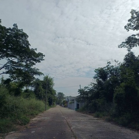 ประกาศฟรี! ซื้อ-ขาย-เช่า คอนโด บ้าน ทาวน์โฮม ที่ดิน และพื้นที่เชิงพาณิชย์ทั่วประเทศไทย ทุกทำเล ทุกงบประมาณ ไม่มีค่าใช้จ่าย ลงง่าย ขายไว เข้าถึงผู้ซื้อโดยตรง 3 230967pic2.jpg