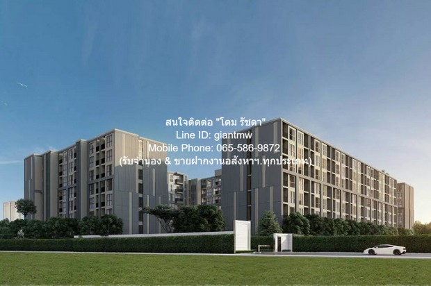 ประกาศฟรี! ซื้อ-ขาย-เช่า คอนโด บ้าน ทาวน์โฮม ที่ดิน และพื้นที่เชิงพาณิชย์ทั่วประเทศไทย ทุกทำเล ทุกงบประมาณ ไม่มีค่าใช้จ่าย ลงง่าย ขายไว เข้าถึงผู้ซื้อโดยตรง 2 283789pic1.jpg