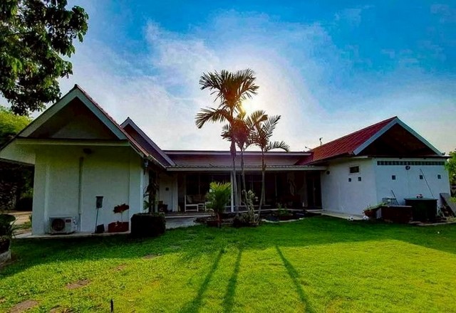 ประกาศฟรี! ซื้อ-ขาย-เช่า คอนโด บ้าน ทาวน์โฮม ที่ดิน และพื้นที่เชิงพาณิชย์ทั่วประเทศไทย ทุกทำเล ทุกงบประมาณ ไม่มีค่าใช้จ่าย ลงง่าย ขายไว เข้าถึงผู้ซื้อโดยตรง 2 230961pic1.jpg