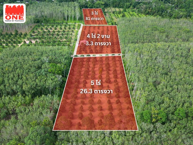 ประกาศฟรี! ซื้อ-ขาย-เช่า คอนโด บ้าน ทาวน์โฮม ที่ดิน และพื้นที่เชิงพาณิชย์ทั่วประเทศไทย ทุกทำเล ทุกงบประมาณ ไม่มีค่าใช้จ่าย ลงง่าย ขายไว เข้าถึงผู้ซื้อโดยตรง 3 306290pic2.jpg