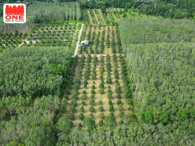 ประกาศฟรี! ซื้อ-ขาย-เช่า คอนโด บ้าน ทาวน์โฮม ที่ดิน และพื้นที่เชิงพาณิชย์ทั่วประเทศไทย ทุกทำเล ทุกงบประมาณ ไม่มีค่าใช้จ่าย ลงง่าย ขายไว เข้าถึงผู้ซื้อโดยตรง 4 306290pic3.jpg