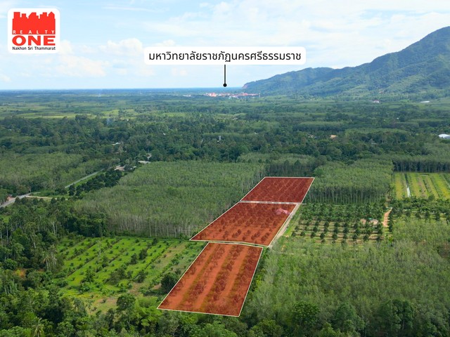 ประกาศฟรี! ซื้อ-ขาย-เช่า คอนโด บ้าน ทาวน์โฮม ที่ดิน และพื้นที่เชิงพาณิชย์ทั่วประเทศไทย ทุกทำเล ทุกงบประมาณ ไม่มีค่าใช้จ่าย ลงง่าย ขายไว เข้าถึงผู้ซื้อโดยตรง 5 306290pic4.jpg