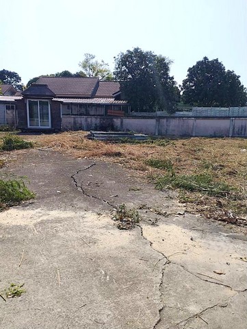 ประกาศฟรี! ซื้อ-ขาย-เช่า คอนโด บ้าน ทาวน์โฮม ที่ดิน และพื้นที่เชิงพาณิชย์ทั่วประเทศไทย ทุกทำเล ทุกงบประมาณ ไม่มีค่าใช้จ่าย ลงง่าย ขายไว เข้าถึงผู้ซื้อโดยตรง 2 216532pic1.jpg