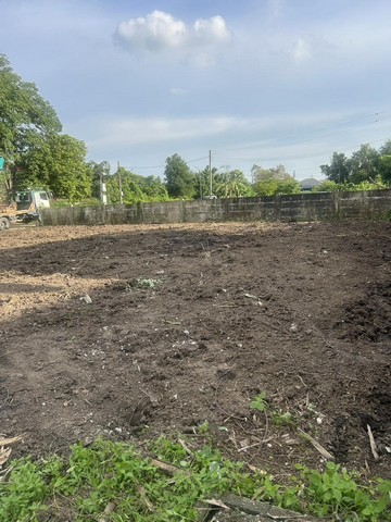 ประกาศฟรี! ซื้อ-ขาย-เช่า คอนโด บ้าน ทาวน์โฮม ที่ดิน และพื้นที่เชิงพาณิชย์ทั่วประเทศไทย ทุกทำเล ทุกงบประมาณ ไม่มีค่าใช้จ่าย ลงง่าย ขายไว เข้าถึงผู้ซื้อโดยตรง 4 306304pic3.jpg