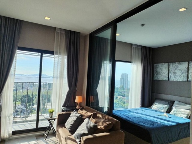 ประกาศฟรี! ซื้อ-ขาย-เช่า คอนโด บ้าน ทาวน์โฮม ที่ดิน และพื้นที่เชิงพาณิชย์ทั่วประเทศไทย ทุกทำเล ทุกงบประมาณ ไม่มีค่าใช้จ่าย ลงง่าย ขายไว เข้าถึงผู้ซื้อโดยตรง 2 306314pic1.jpg