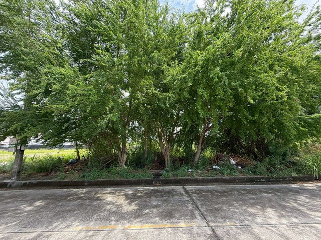 ประกาศฟรี! ซื้อ-ขาย-เช่า คอนโด บ้าน ทาวน์โฮม ที่ดิน และพื้นที่เชิงพาณิชย์ทั่วประเทศไทย ทุกทำเล ทุกงบประมาณ ไม่มีค่าใช้จ่าย ลงง่าย ขายไว เข้าถึงผู้ซื้อโดยตรง 2 306311pic1.jpg