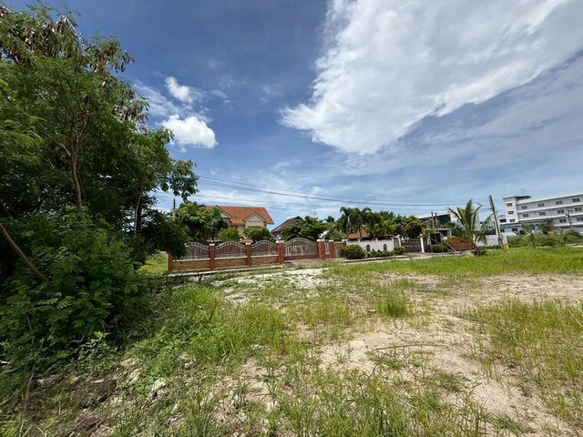 ประกาศฟรี! ซื้อ-ขาย-เช่า คอนโด บ้าน ทาวน์โฮม ที่ดิน และพื้นที่เชิงพาณิชย์ทั่วประเทศไทย ทุกทำเล ทุกงบประมาณ ไม่มีค่าใช้จ่าย ลงง่าย ขายไว เข้าถึงผู้ซื้อโดยตรง 3 306311pic2.jpg