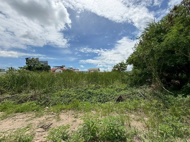 ประกาศฟรี! ซื้อ-ขาย-เช่า คอนโด บ้าน ทาวน์โฮม ที่ดิน และพื้นที่เชิงพาณิชย์ทั่วประเทศไทย ทุกทำเล ทุกงบประมาณ ไม่มีค่าใช้จ่าย ลงง่าย ขายไว เข้าถึงผู้ซื้อโดยตรง 5 306311pic4.jpg