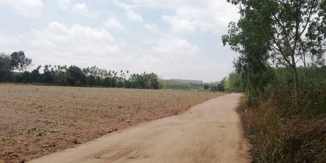 ประกาศฟรี! ซื้อ-ขาย-เช่า คอนโด บ้าน ทาวน์โฮม ที่ดิน และพื้นที่เชิงพาณิชย์ทั่วประเทศไทย ทุกทำเล ทุกงบประมาณ ไม่มีค่าใช้จ่าย ลงง่าย ขายไว เข้าถึงผู้ซื้อโดยตรง 5 291455pic4.jpg