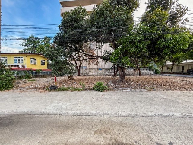 ประกาศฟรี! ซื้อ-ขาย-เช่า คอนโด บ้าน ทาวน์โฮม ที่ดิน และพื้นที่เชิงพาณิชย์ทั่วประเทศไทย ทุกทำเล ทุกงบประมาณ ไม่มีค่าใช้จ่าย ลงง่าย ขายไว เข้าถึงผู้ซื้อโดยตรง 2 291373pic1.jpg