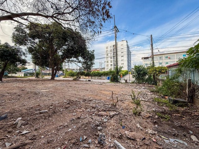 ประกาศฟรี! ซื้อ-ขาย-เช่า คอนโด บ้าน ทาวน์โฮม ที่ดิน และพื้นที่เชิงพาณิชย์ทั่วประเทศไทย ทุกทำเล ทุกงบประมาณ ไม่มีค่าใช้จ่าย ลงง่าย ขายไว เข้าถึงผู้ซื้อโดยตรง 5 291373pic4.jpg