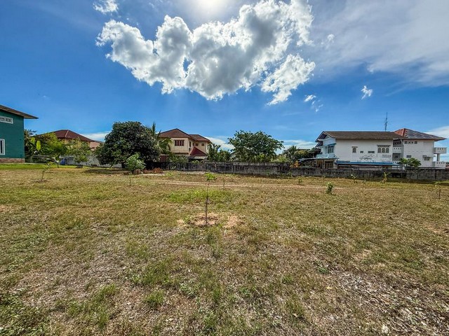 ประกาศฟรี! ซื้อ-ขาย-เช่า คอนโด บ้าน ทาวน์โฮม ที่ดิน และพื้นที่เชิงพาณิชย์ทั่วประเทศไทย ทุกทำเล ทุกงบประมาณ ไม่มีค่าใช้จ่าย ลงง่าย ขายไว เข้าถึงผู้ซื้อโดยตรง 2 291365pic1.jpg