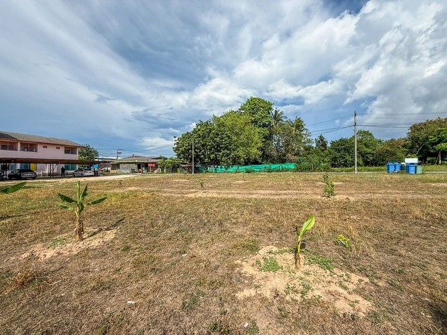 ประกาศฟรี! ซื้อ-ขาย-เช่า คอนโด บ้าน ทาวน์โฮม ที่ดิน และพื้นที่เชิงพาณิชย์ทั่วประเทศไทย ทุกทำเล ทุกงบประมาณ ไม่มีค่าใช้จ่าย ลงง่าย ขายไว เข้าถึงผู้ซื้อโดยตรง 3 291365pic2.jpg