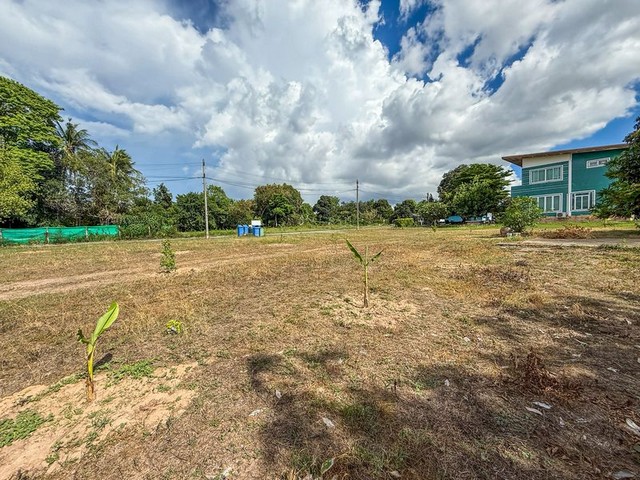 ประกาศฟรี! ซื้อ-ขาย-เช่า คอนโด บ้าน ทาวน์โฮม ที่ดิน และพื้นที่เชิงพาณิชย์ทั่วประเทศไทย ทุกทำเล ทุกงบประมาณ ไม่มีค่าใช้จ่าย ลงง่าย ขายไว เข้าถึงผู้ซื้อโดยตรง 5 291365pic4.jpg