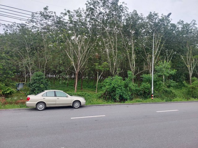 ประกาศฟรี! ซื้อ-ขาย-เช่า คอนโด บ้าน ทาวน์โฮม ที่ดิน และพื้นที่เชิงพาณิชย์ทั่วประเทศไทย ทุกทำเล ทุกงบประมาณ ไม่มีค่าใช้จ่าย ลงง่าย ขายไว เข้าถึงผู้ซื้อโดยตรง 2 306258pic1.jpg