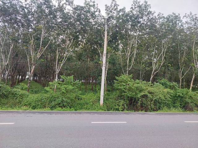 ประกาศฟรี! ซื้อ-ขาย-เช่า คอนโด บ้าน ทาวน์โฮม ที่ดิน และพื้นที่เชิงพาณิชย์ทั่วประเทศไทย ทุกทำเล ทุกงบประมาณ ไม่มีค่าใช้จ่าย ลงง่าย ขายไว เข้าถึงผู้ซื้อโดยตรง 4 306258pic3.jpg