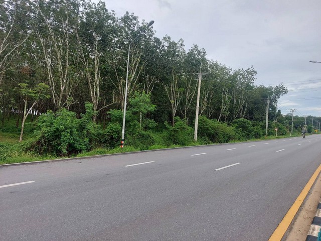 ประกาศฟรี! ซื้อ-ขาย-เช่า คอนโด บ้าน ทาวน์โฮม ที่ดิน และพื้นที่เชิงพาณิชย์ทั่วประเทศไทย ทุกทำเล ทุกงบประมาณ ไม่มีค่าใช้จ่าย ลงง่าย ขายไว เข้าถึงผู้ซื้อโดยตรง 5 306258pic4.jpg