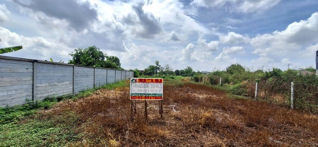 ประกาศฟรี! ซื้อ-ขาย-เช่า คอนโด บ้าน ทาวน์โฮม ที่ดิน และพื้นที่เชิงพาณิชย์ทั่วประเทศไทย ทุกทำเล ทุกงบประมาณ ไม่มีค่าใช้จ่าย ลงง่าย ขายไว เข้าถึงผู้ซื้อโดยตรง 2 231077pic1.jpg