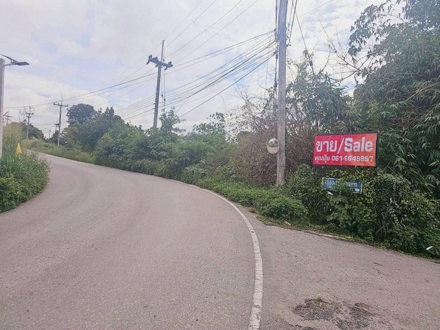 ประกาศฟรี! ซื้อ-ขาย-เช่า คอนโด บ้าน ทาวน์โฮม ที่ดิน และพื้นที่เชิงพาณิชย์ทั่วประเทศไทย ทุกทำเล ทุกงบประมาณ ไม่มีค่าใช้จ่าย ลงง่าย ขายไว เข้าถึงผู้ซื้อโดยตรง 4 306372pic3.jpg