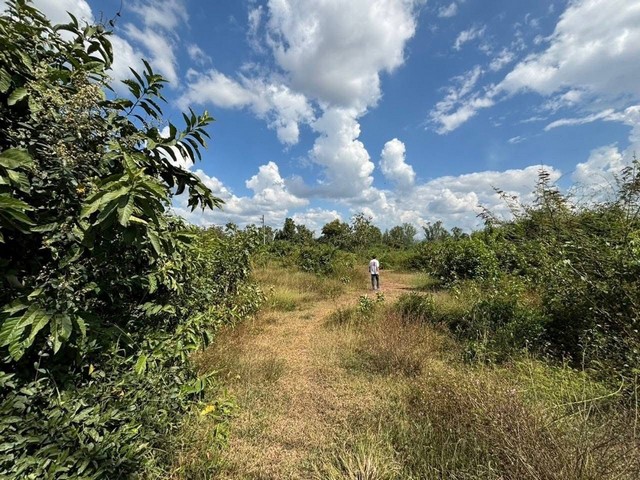 ประกาศฟรี! ซื้อ-ขาย-เช่า คอนโด บ้าน ทาวน์โฮม ที่ดิน และพื้นที่เชิงพาณิชย์ทั่วประเทศไทย ทุกทำเล ทุกงบประมาณ ไม่มีค่าใช้จ่าย ลงง่าย ขายไว เข้าถึงผู้ซื้อโดยตรง 5 306399pic4.jpg