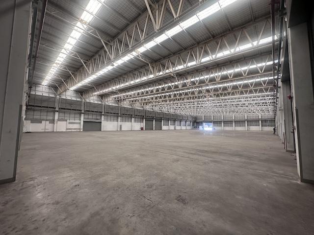 ประกาศฟรี! ซื้อ-ขาย-เช่า คอนโด บ้าน ทาวน์โฮม ที่ดิน และพื้นที่เชิงพาณิชย์ทั่วประเทศไทย ทุกทำเล ทุกงบประมาณ ไม่มีค่าใช้จ่าย ลงง่าย ขายไว เข้าถึงผู้ซื้อโดยตรง 4 503617pic3.jpg