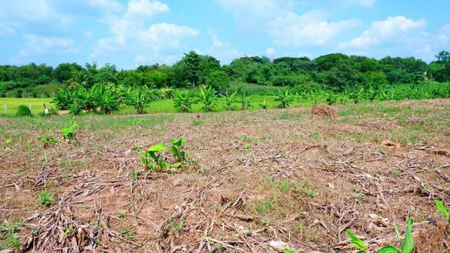 ประกาศฟรี! ซื้อ-ขาย-เช่า คอนโด บ้าน ทาวน์โฮม ที่ดิน และพื้นที่เชิงพาณิชย์ทั่วประเทศไทย ทุกทำเล ทุกงบประมาณ ไม่มีค่าใช้จ่าย ลงง่าย ขายไว เข้าถึงผู้ซื้อโดยตรง 3 230983pic2.jpg