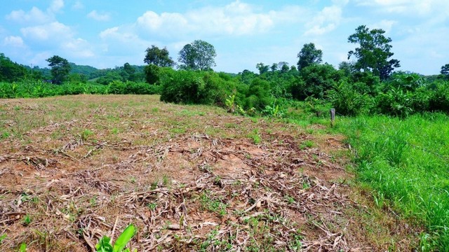 ประกาศฟรี! ซื้อ-ขาย-เช่า คอนโด บ้าน ทาวน์โฮม ที่ดิน และพื้นที่เชิงพาณิชย์ทั่วประเทศไทย ทุกทำเล ทุกงบประมาณ ไม่มีค่าใช้จ่าย ลงง่าย ขายไว เข้าถึงผู้ซื้อโดยตรง 4 230983pic3.jpg