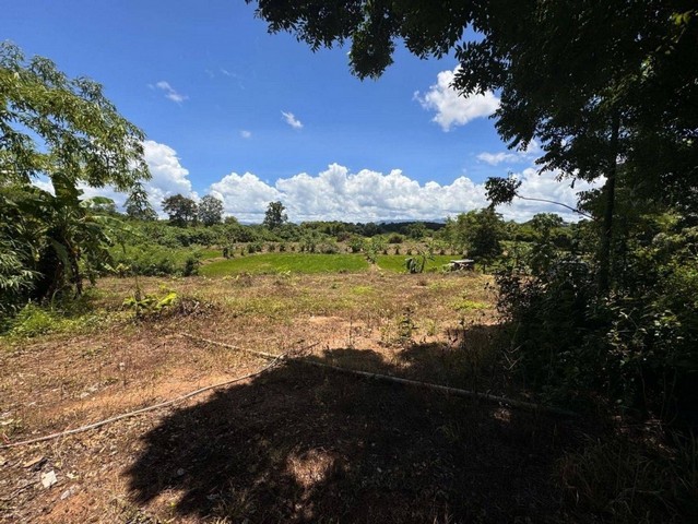 ประกาศฟรี! ซื้อ-ขาย-เช่า คอนโด บ้าน ทาวน์โฮม ที่ดิน และพื้นที่เชิงพาณิชย์ทั่วประเทศไทย ทุกทำเล ทุกงบประมาณ ไม่มีค่าใช้จ่าย ลงง่าย ขายไว เข้าถึงผู้ซื้อโดยตรง 5 230983pic4.jpg