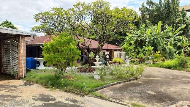 ประกาศฟรี! ซื้อ-ขาย-เช่า คอนโด บ้าน ทาวน์โฮม ที่ดิน และพื้นที่เชิงพาณิชย์ทั่วประเทศไทย ทุกทำเล ทุกงบประมาณ ไม่มีค่าใช้จ่าย ลงง่าย ขายไว เข้าถึงผู้ซื้อโดยตรง 5 306467pic4.jpg