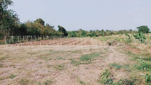 ประกาศฟรี! ซื้อ-ขาย-เช่า คอนโด บ้าน ทาวน์โฮม ที่ดิน และพื้นที่เชิงพาณิชย์ทั่วประเทศไทย ทุกทำเล ทุกงบประมาณ ไม่มีค่าใช้จ่าย ลงง่าย ขายไว เข้าถึงผู้ซื้อโดยตรง 4 231217pic3.jpg