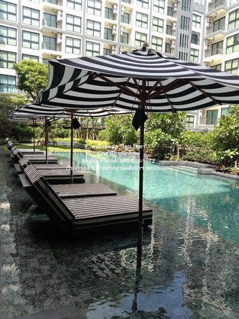 ประกาศฟรี! ซื้อ-ขาย-เช่า คอนโด บ้าน ทาวน์โฮม ที่ดิน และพื้นที่เชิงพาณิชย์ทั่วประเทศไทย ทุกทำเล ทุกงบประมาณ ไม่มีค่าใช้จ่าย ลงง่าย ขายไว เข้าถึงผู้ซื้อโดยตรง 4 283788pic3.jpg